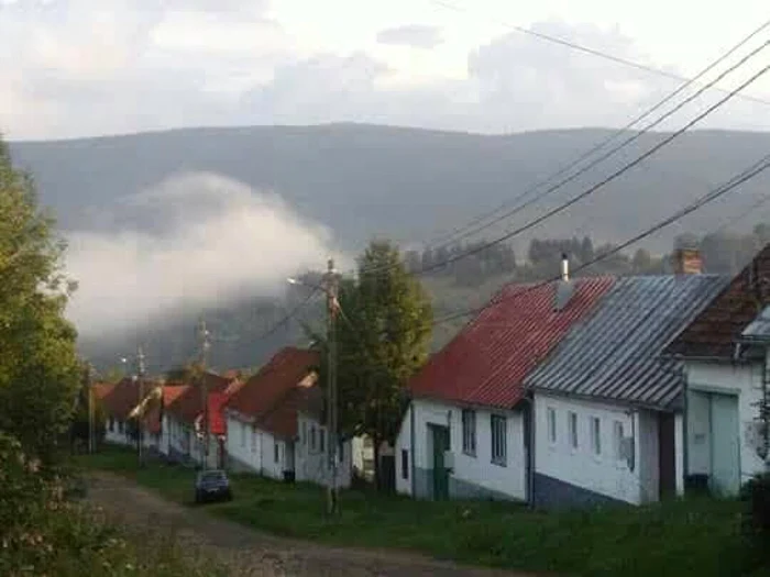 garana