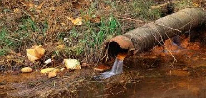 Bacău: Societatea Petrom a fost sancționată pentru poluarea de pe Ruja