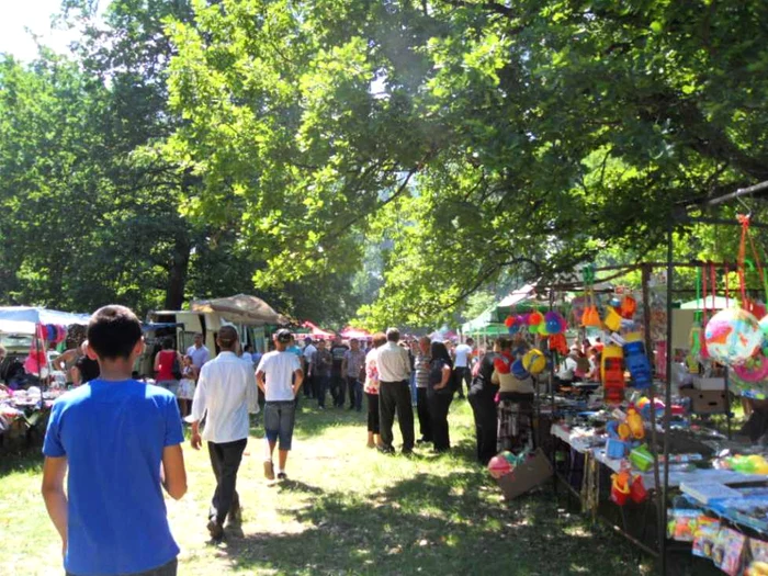 festival laleaua pestrita