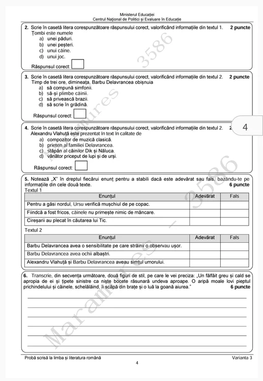 subiecte romana evaluarea nationala 2024