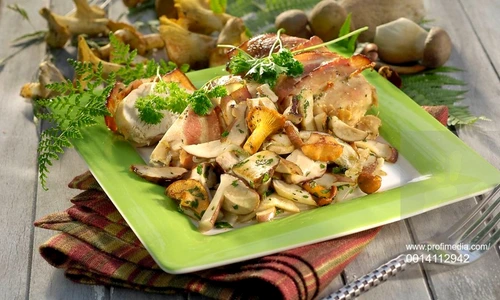 Fricassee with Mushrooms jpeg