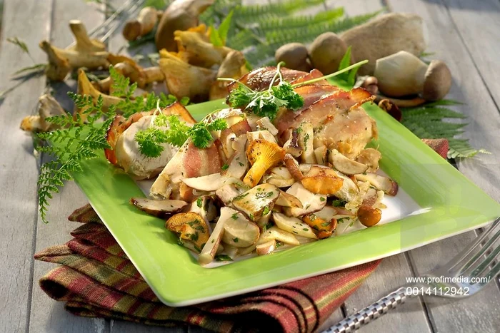 Fricassee with Mushrooms jpeg
