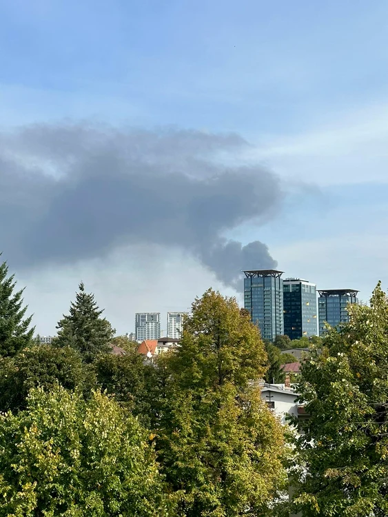 incendiu voluntari  jpg