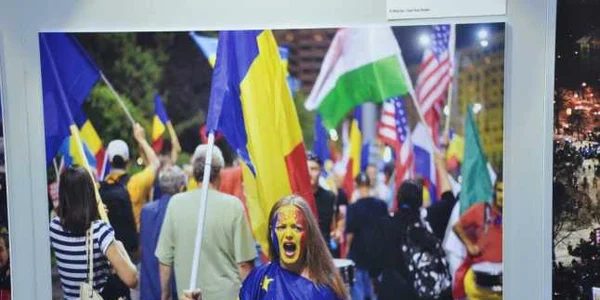 expozitie rezist