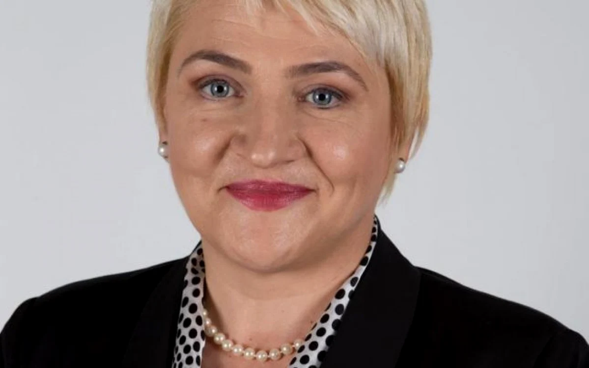Lucia Varga a adăugat că furtul de lemn a făcut pagube de 5 miliarde de euro începând din 1990 până în 2011