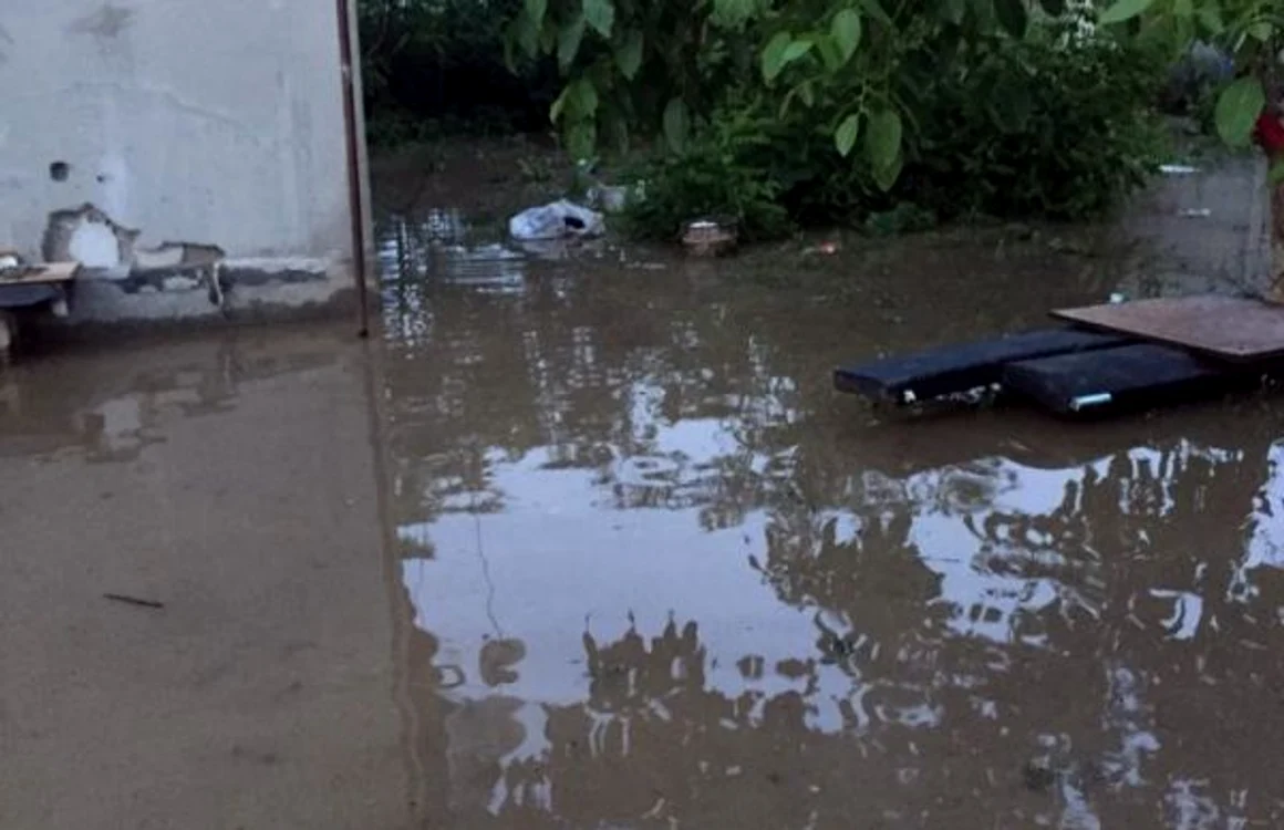inundatiidb