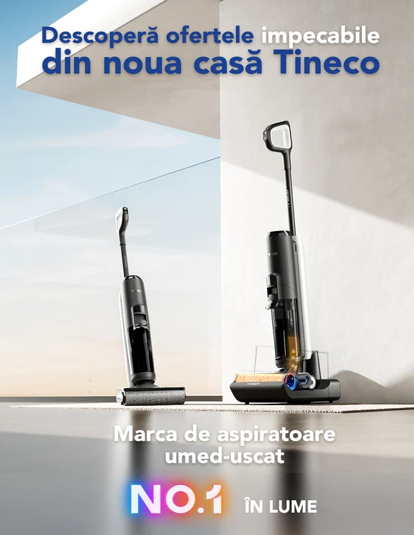 TINECO site 1 png