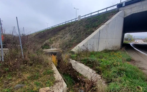 autostrada foto asociatia pro infrastructura