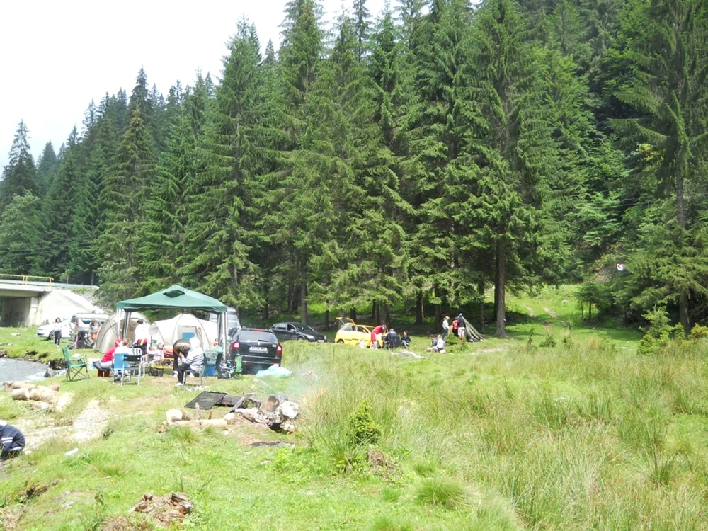 picnic voina
