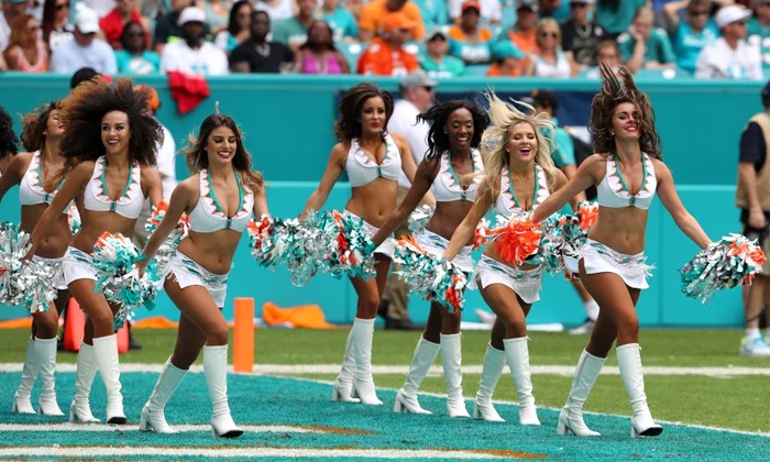 Holly Wardenfoto: miami dolphins