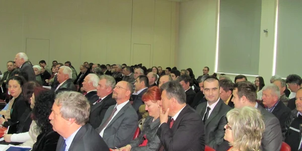 Primarii PDL şi UDMR au luat "grosul" alocărilor