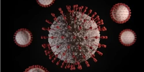 coronavirus jpg