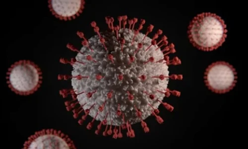 coronavirus jpg