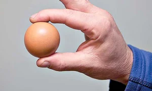 CLIIMA20121213 0071 1 jpeg