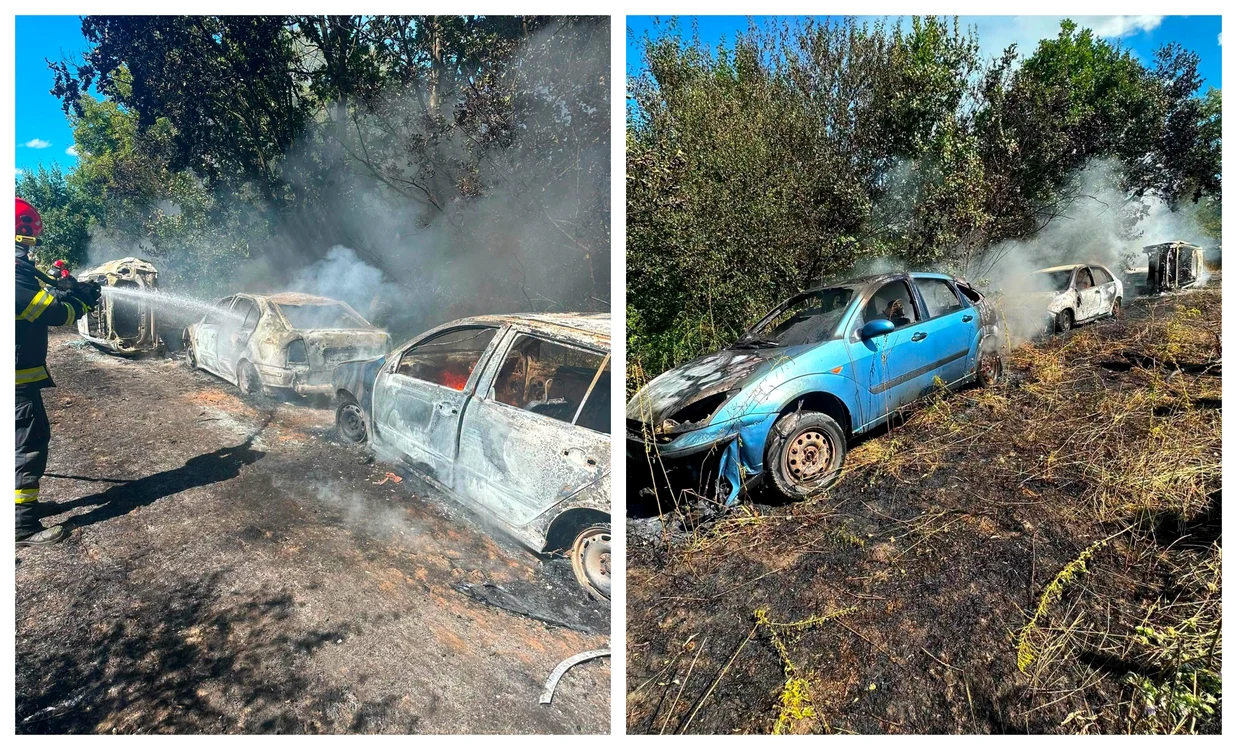 Cinci mașini arse într-un incendiu de vegetație uscată