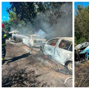 Cinci mașini arse într-un incendiu de vegetație uscată