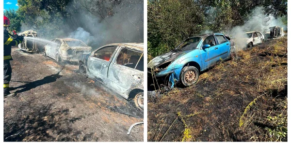Cinci mașini arse într-un incendiu de vegetație uscată