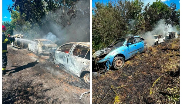 Cinci mașini arse într-un incendiu de vegetație uscată