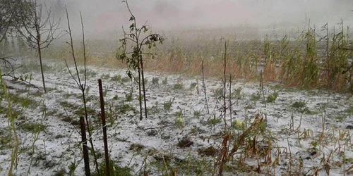 Grindina Suceava. FOTO Alexandru George