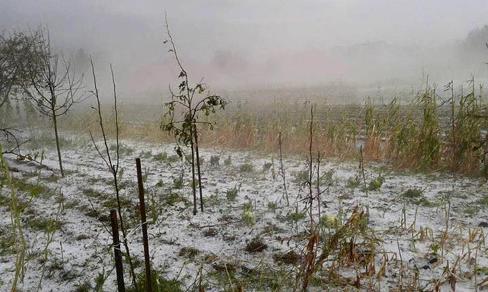 Grindina a făcut prăpăd în judeţul Suceava. FOTO Alexandru George