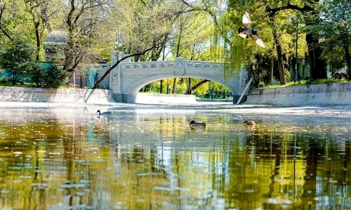 Grădina Cișmigiu (foto: Primăria Municipiului București)