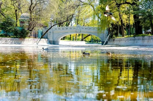 Grădina Cișmigiu (foto: Primăria Municipiului București)