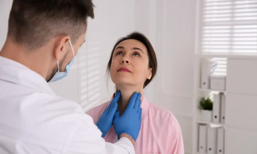 shutterstock 1991398373 jpg