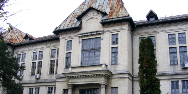 tribunalul mehedinti