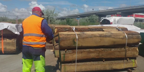 containere cu lemn port agigea
