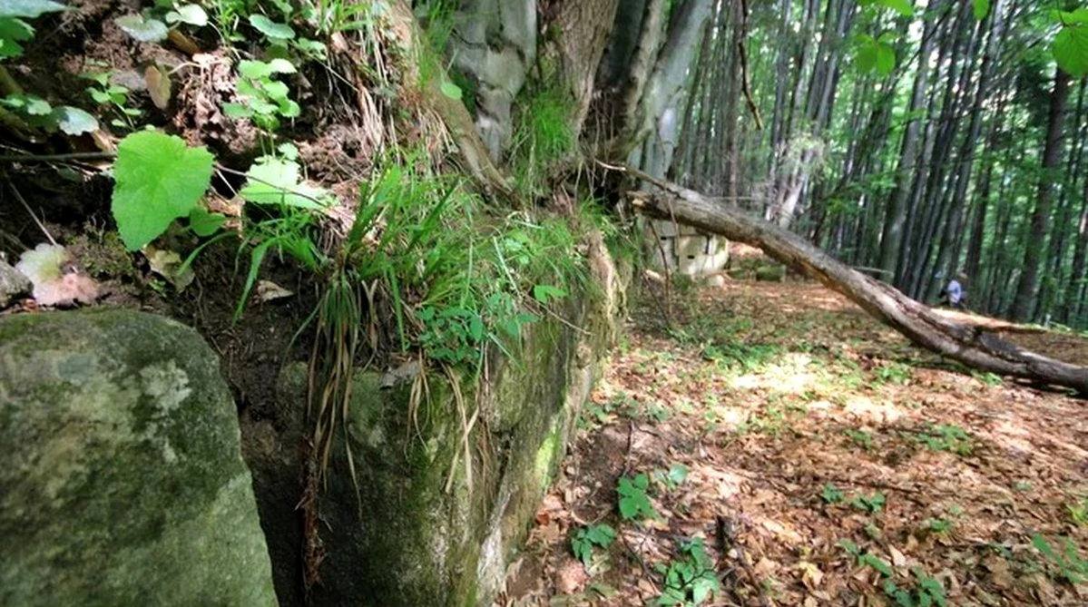Descoperire epocală lângă Sarmizegetusa Regia realizată cu LIDAR / Foto: Adevărul.ro
