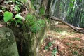 descoperire epocala, adevarul ro jpg