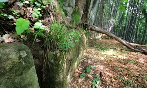 descoperire epocala, adevarul ro jpg