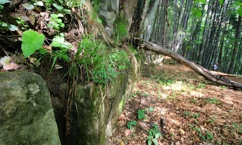 descoperire epocala, adevarul ro jpg