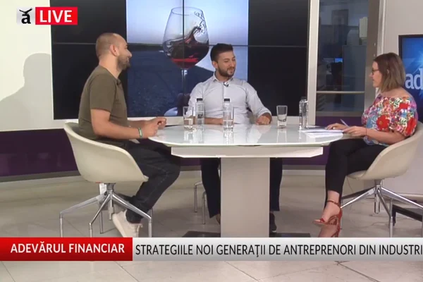 Strategiile noii generații de antreprenori din industria vinului