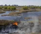 Incendiu Delta Văcăreşti - 5 apr 2022 / FOTO Inquam Photos / George Călin