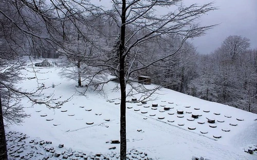 sarmizegetusa regia foto administratia sarmizegetusa regia iarna 2021