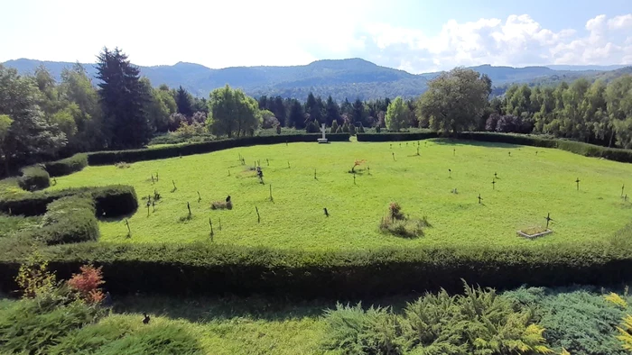 O imagine care conţine iarbă, exterior, câmp, arboreDescriere generată automat