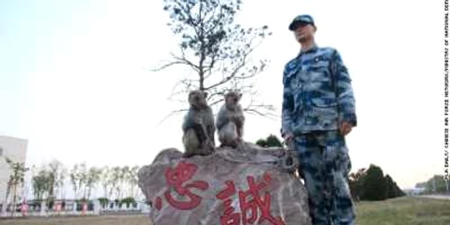 maimute in armata chineza foto CNN