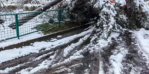 WhatsApp Image 2023 04 05 at 17 23 37 jpeg