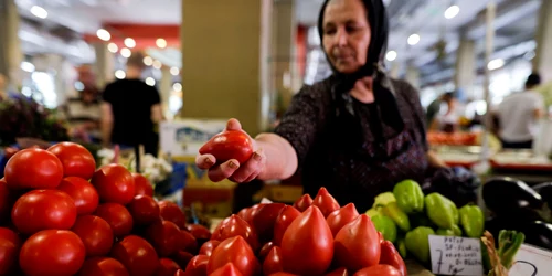 Roșii vândute în piață FOTO Shutterstock 