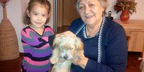 cainele maidanez adoptat de ponta