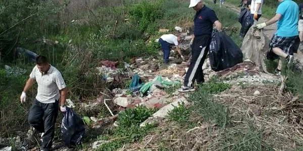 ecologizare bugetari bistrita 