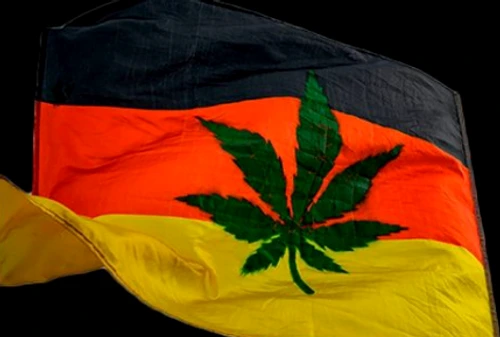 Germania are în vedere legalizarea marijuanei Foto: Instagram/Getty