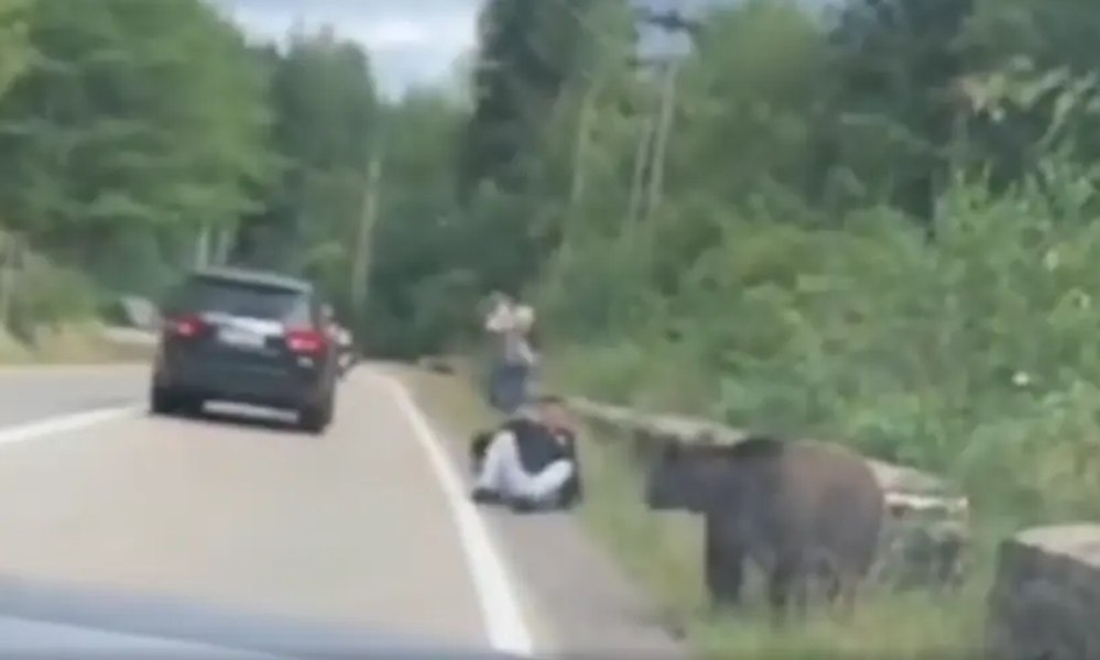 „Cum recunoști un ,,prost" pe Transfăgărășan?” Reacția uluitoare a unui turist atacat de un urs pe care încerca să îl hrănească VIDEO