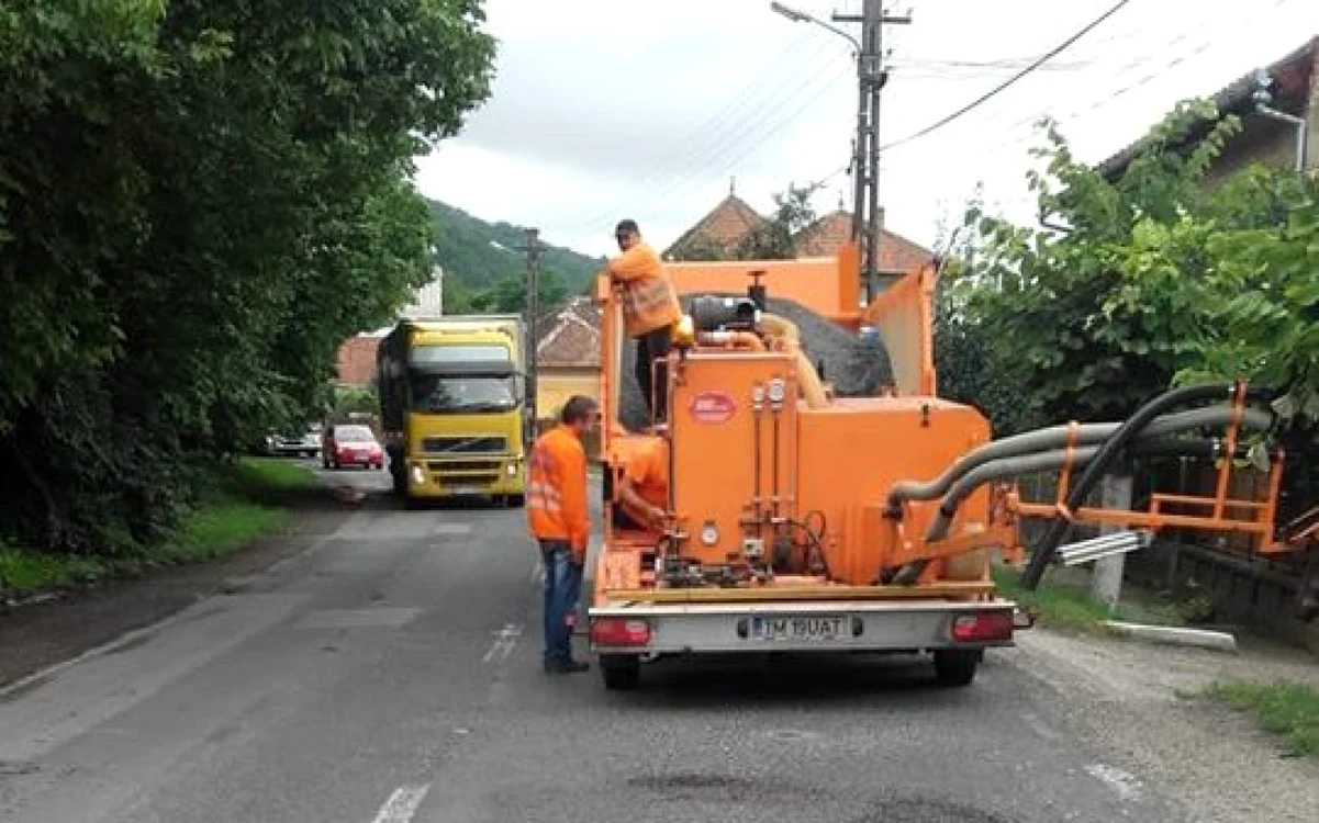 FOTO: DRDP Timişoara.