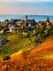 toscana adobestock jpg
