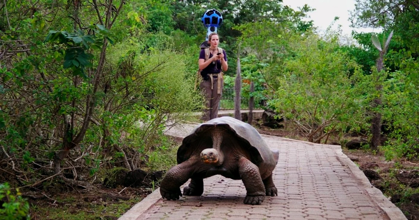 Țestoasă de Galapagos / Foto Arhivă