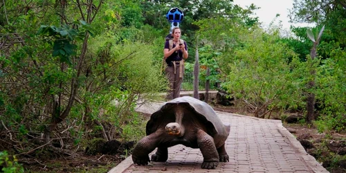 google galapagos foto google