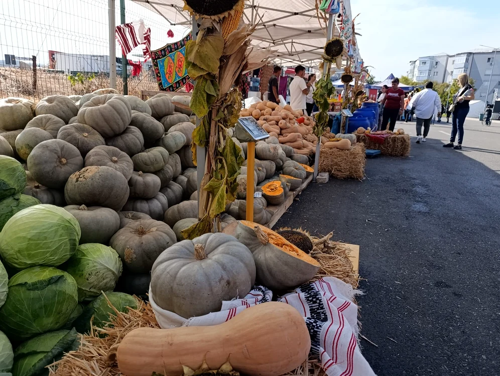 dovleci_pentru_copt_de _două_soiuri