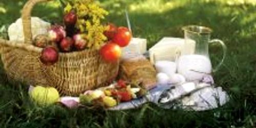 Picnic, bucuria primăverii